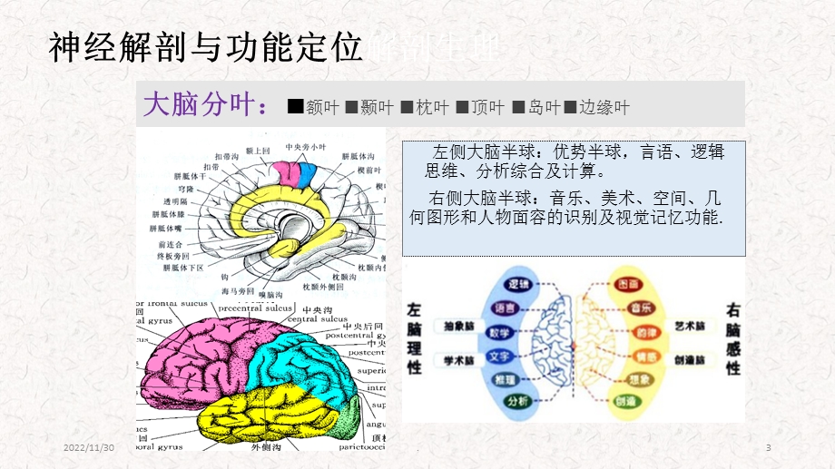 脑血管疾病定位诊断课件.ppt_第3页