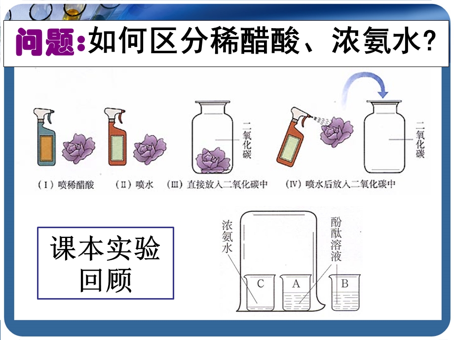 课题1常见的酸和碱课件.ppt_第3页