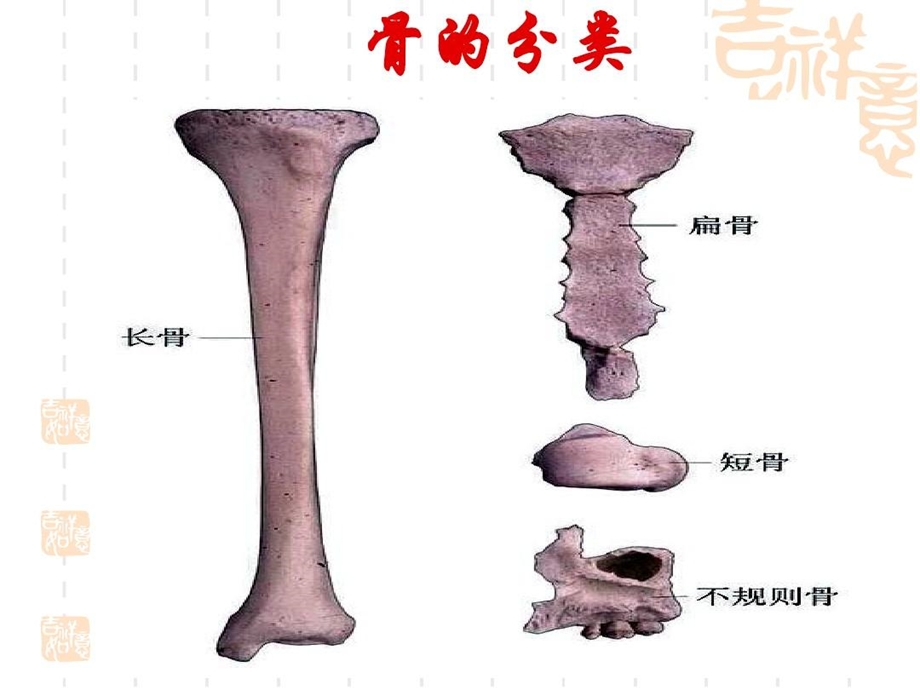 骨科护理实习讲课课件.ppt_第3页