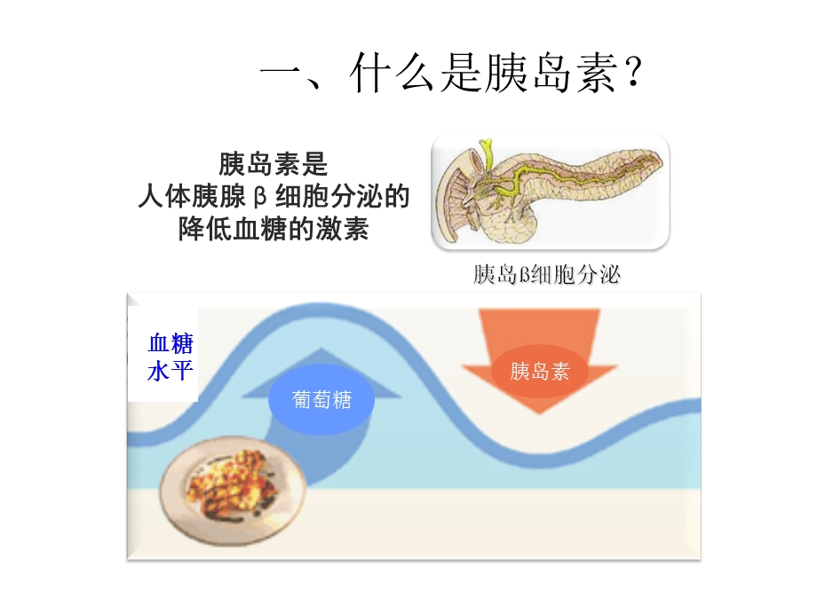 胰岛素泵的临床应用资料课件.ppt_第3页