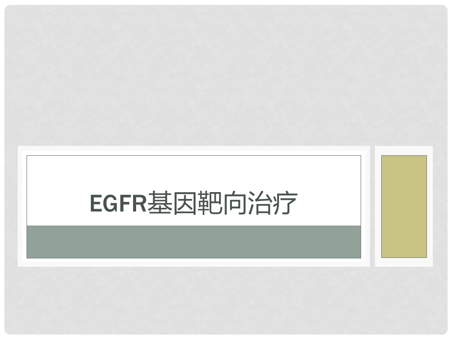 EGFR基因靶向治疗课件.ppt_第1页