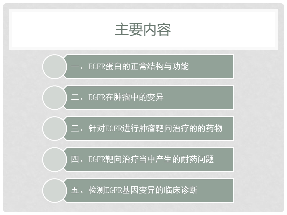 EGFR基因靶向治疗课件.ppt_第2页