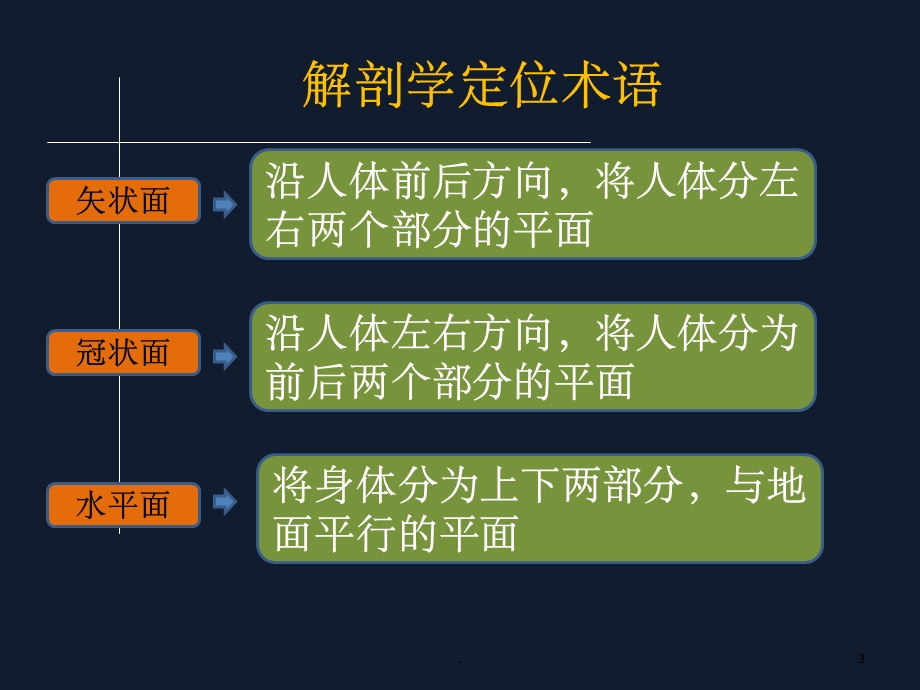 脊椎的解剖课件.ppt_第3页