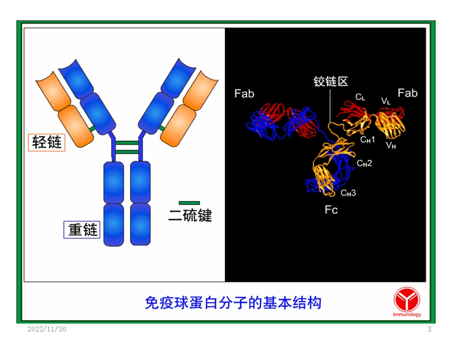 蛋白电泳轻链病课件.pptx_第3页