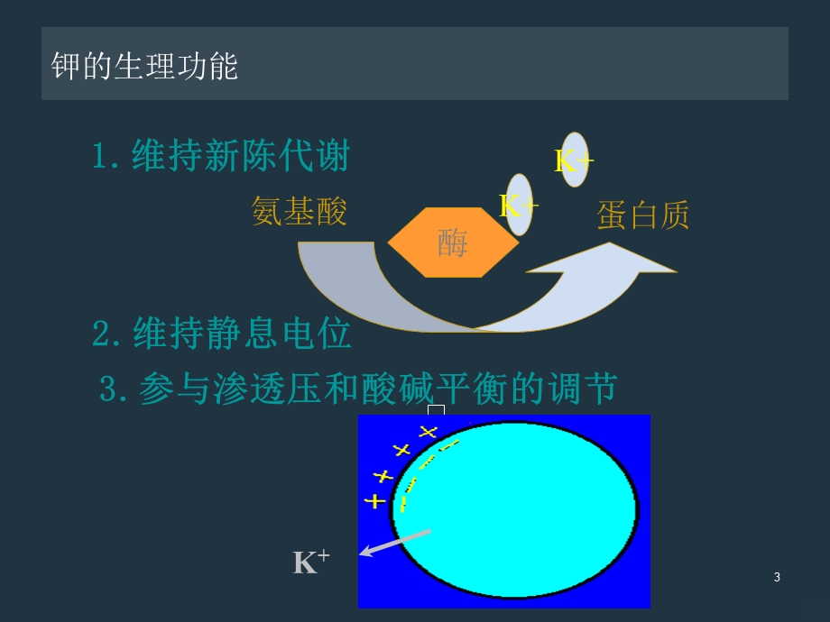 高钾血症的抢救课件.ppt_第3页