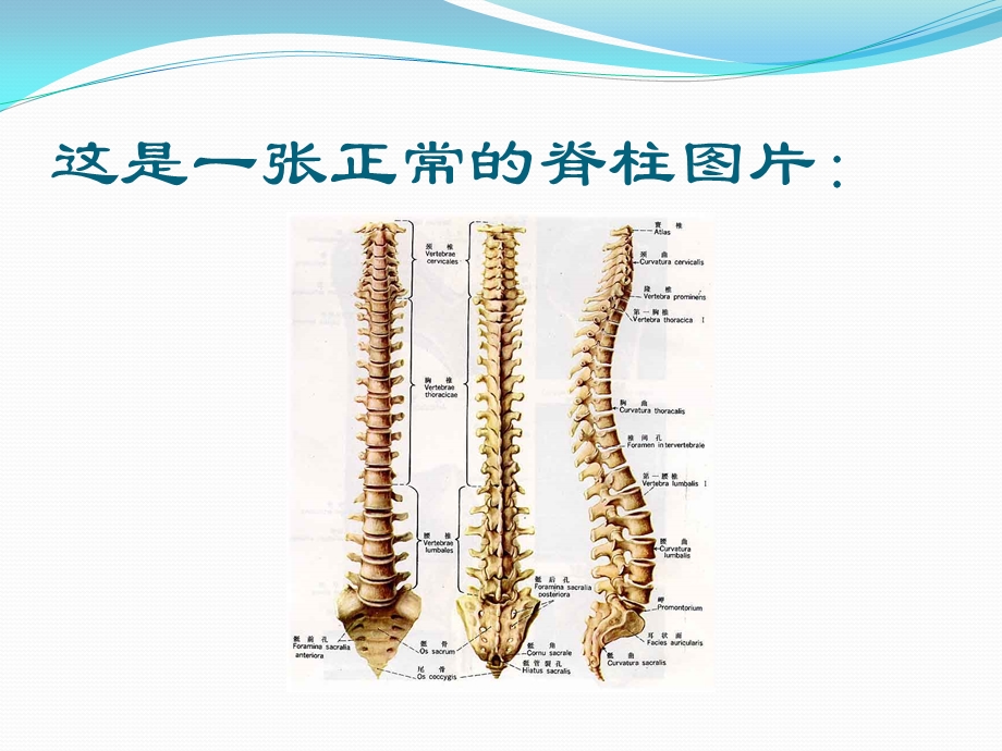 颈腰椎病的防治课件.pptx_第3页