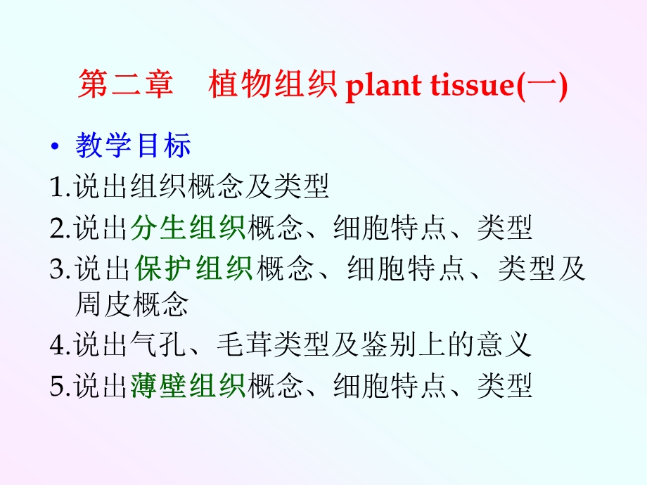 药用植物学：植物组织课件.ppt_第2页