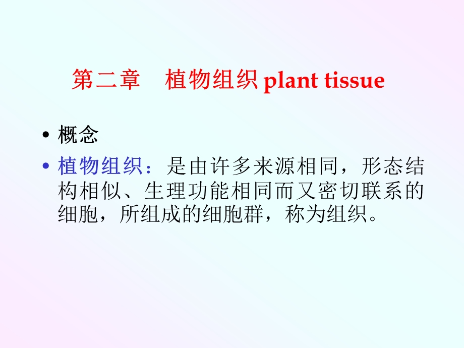 药用植物学：植物组织课件.ppt_第3页