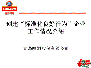 青啤公司企业标准体系介绍（外发）课件.ppt