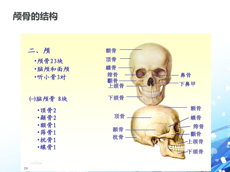 颅底骨折护理查房ppt课件.ppt_第3页