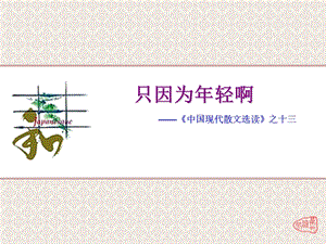 《只因为年轻啊》精美PPT课件.ppt