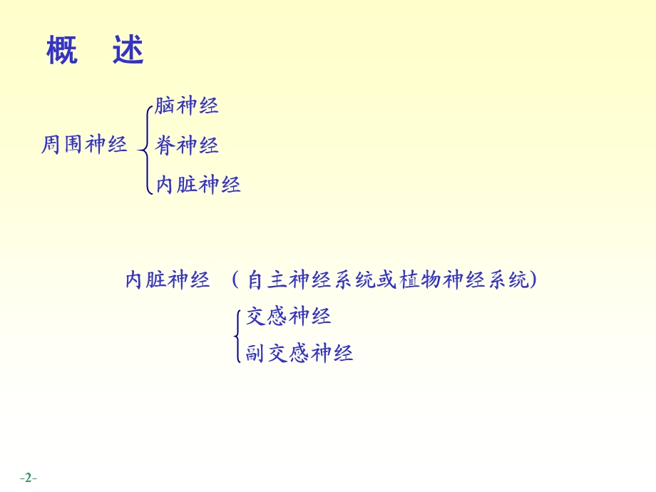 脊神经人体结构学课件.ppt_第2页