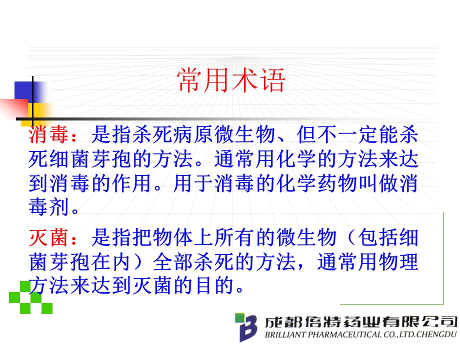 内酰胺作用机制及其过敏反应课件.ppt_第2页