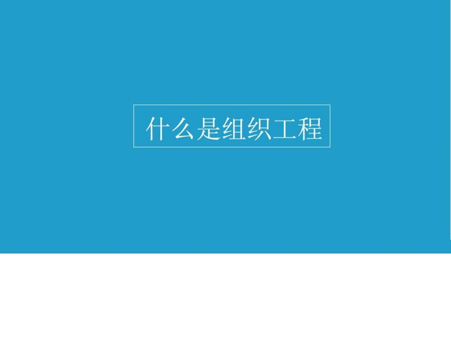 组织工程支架和载体材料课件.ppt_第2页