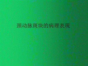 颈动脉斑块的病理表现课件.ppt