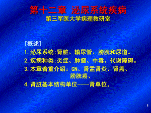 肾脏疾病课件.ppt