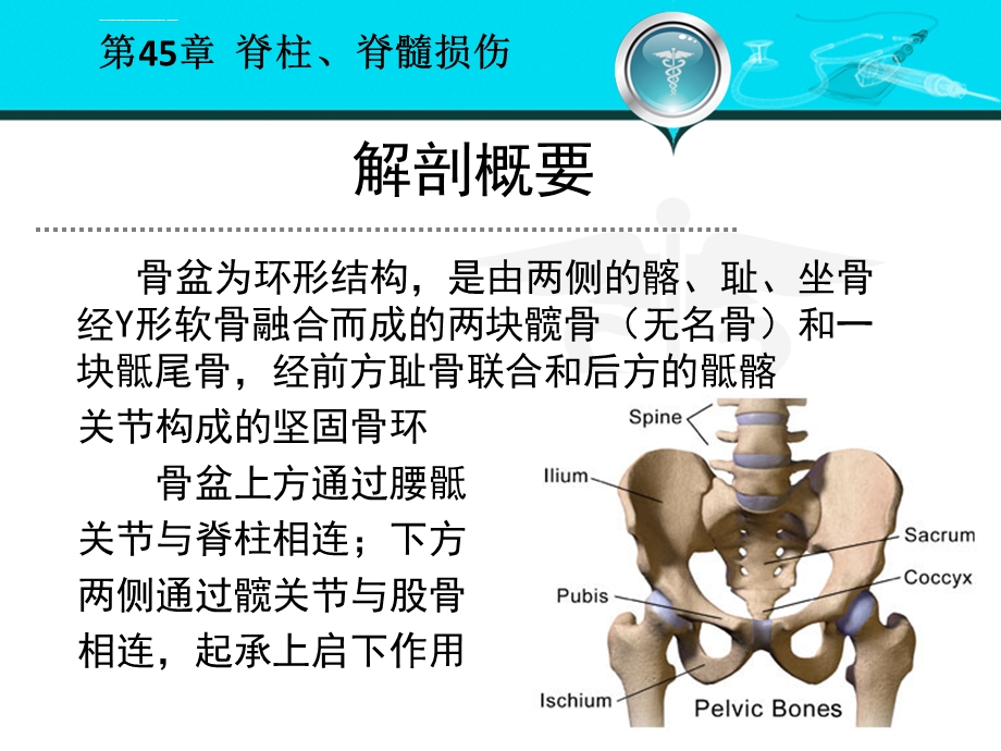 骨盆髋臼骨折全解ppt课件.ppt_第3页