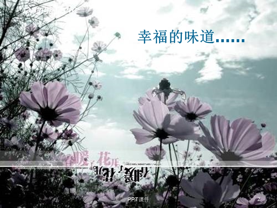 《面朝大海 春暖花开》课件.ppt_第2页