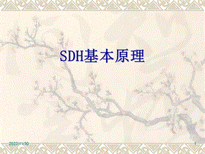 SDH原理(通俗版)汇总课件.ppt