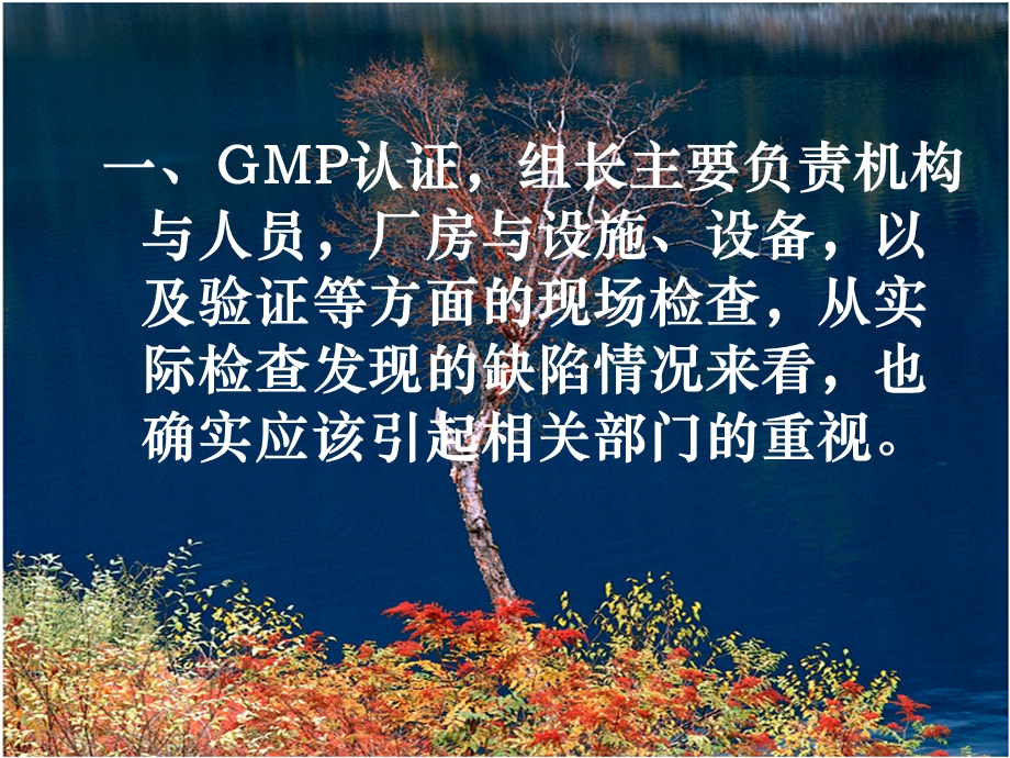 GMP检查与设备运行维护的常见问题课件.ppt_第2页