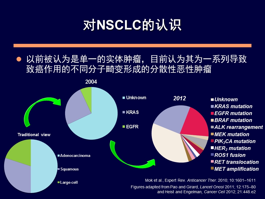 EGFR突变的非小细胞肺癌患者一线治疗课件.ppt_第3页