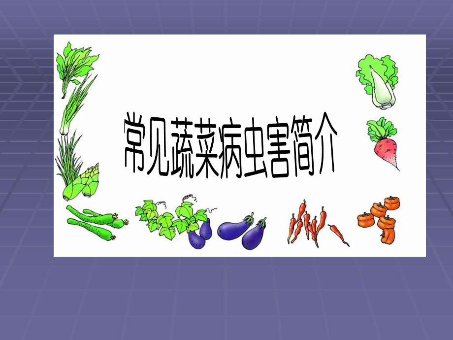 蔬菜病虫害大全课件.ppt_第2页