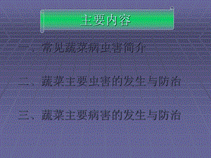 蔬菜病虫害大全课件.ppt