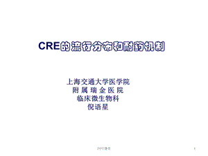 CRE的流行分布及耐药机制课件.ppt