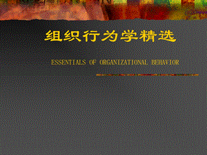 组织行为学精选课件.ppt