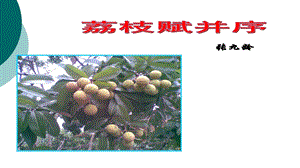 荔枝赋并序课件.ppt