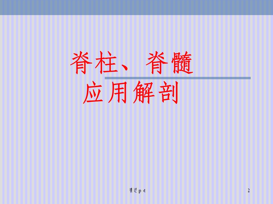 脊柱解剖图(完整)课件.ppt_第2页