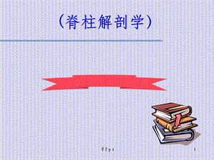 脊柱解剖图(完整)课件.ppt