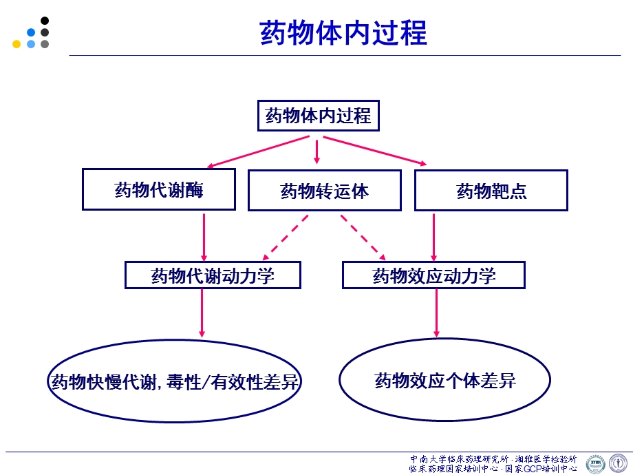 肿瘤常规化疗药物个体化治疗课件.ppt_第2页