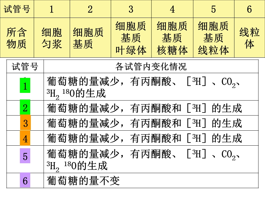 细胞呼吸过程原理及应用课件.pptx_第1页