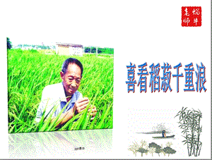 《喜看稻菽千重浪》(精品、公开课)课件.ppt