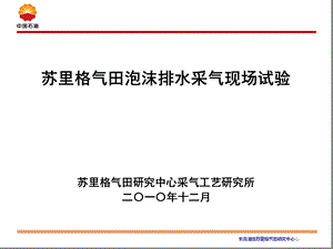 苏里格气田泡沫排水采气现场试验资料课件.ppt