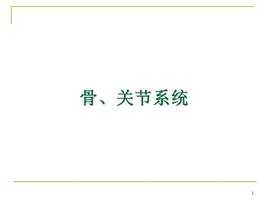 骨骼系统课件.ppt