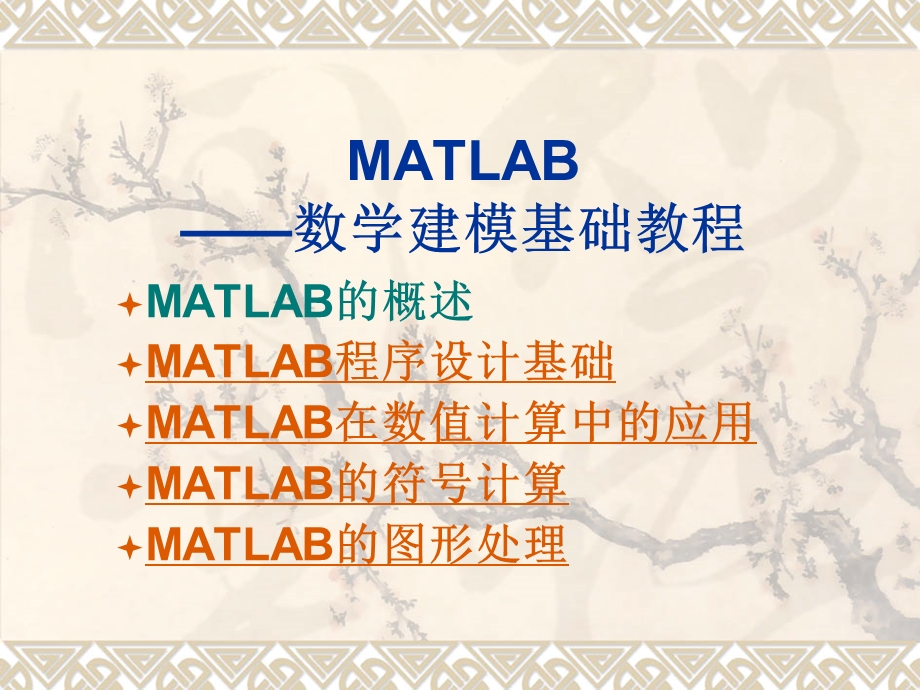 matlab数学建模(快速教程)解读课件.ppt_第2页