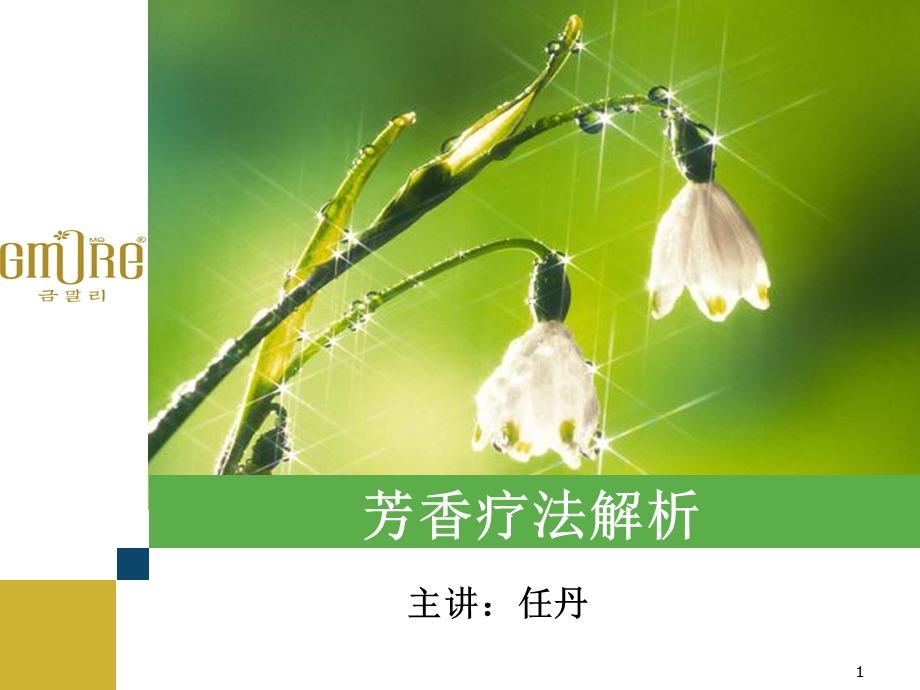 芳香疗法解析课件.ppt_第1页