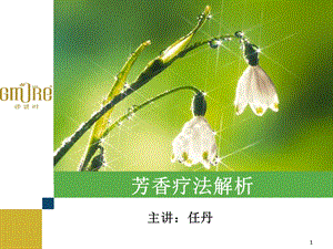 芳香疗法解析课件.ppt