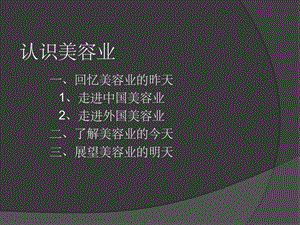 认识美容业课件.ppt