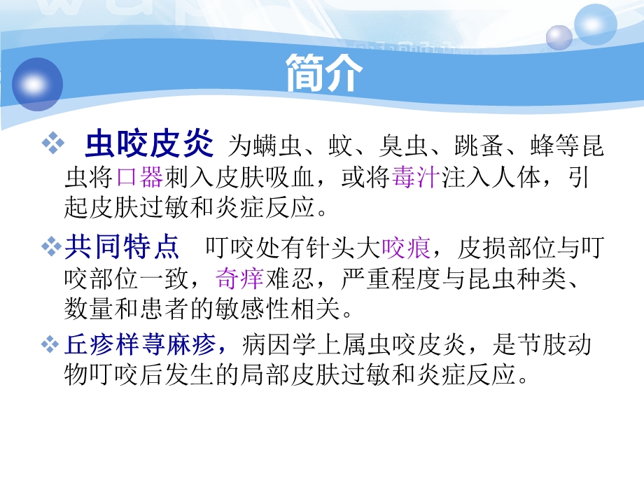 虫咬皮炎专业知识讲座课件.ppt_第1页