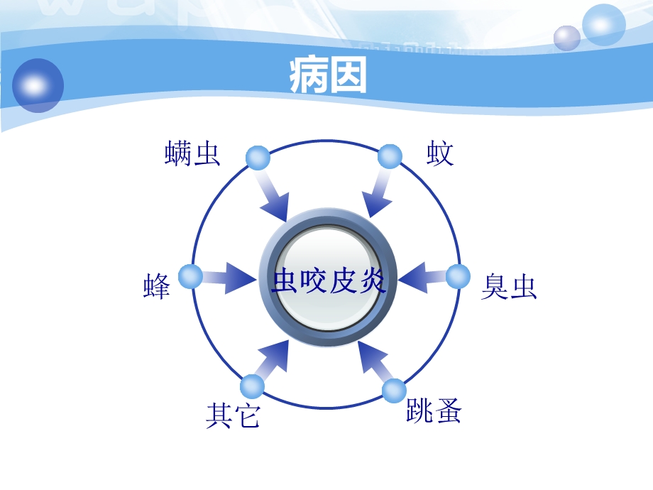 虫咬皮炎专业知识讲座课件.ppt_第2页