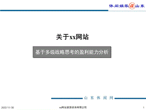 xx网站基于战略定位的盈利能力的分析解析课件.ppt
