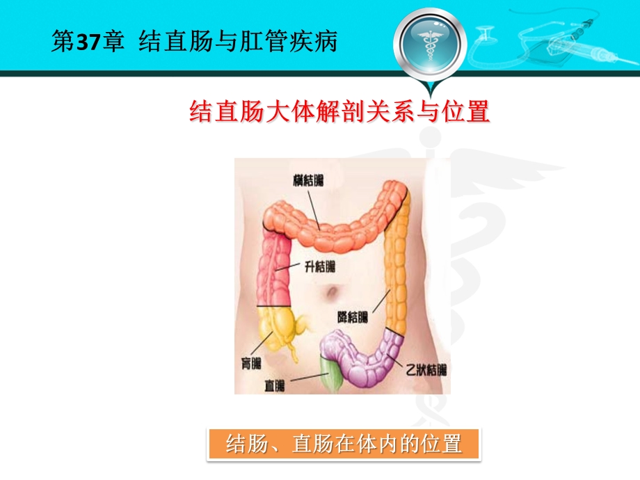 结直肠与肛门疾病课件.ppt_第3页