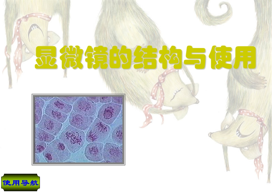 七年级生物课件显微镜的结构与使用.ppt_第1页