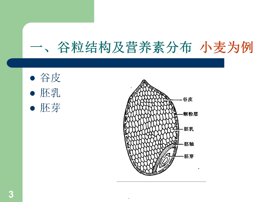 谷类的营养价值课件.ppt_第3页