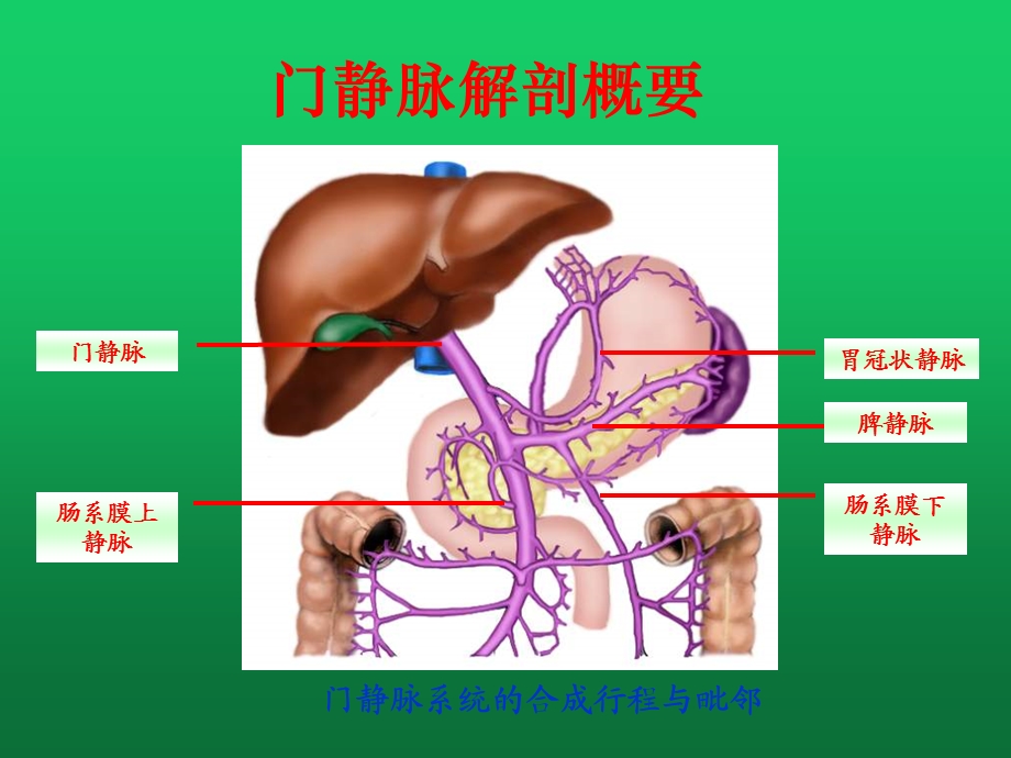 门静脉高压症的临床表现、诊断、鉴别诊断与治疗课件.ppt_第3页