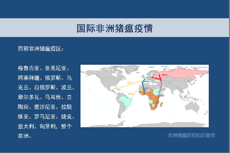 非洲猪瘟防控知识ppt课件.pptx_第3页