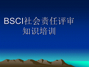 BSCI社会责任评审相关知识培训课件.ppt